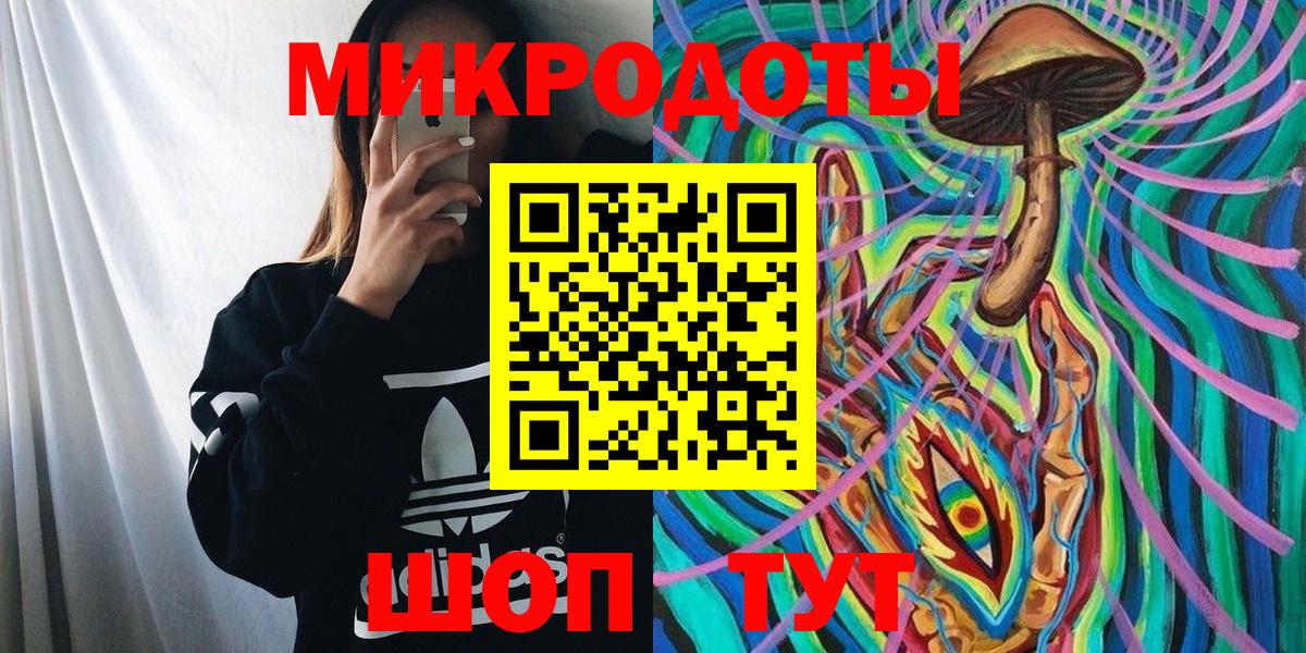 как найти   Псилоцибиновые грибы Psilocybe  Вход с VPN  Галлюциногенные грибы прущие грибы  Сухой Лог 
